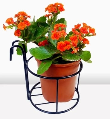 Picture of 1PC 6Inch Round Planter Stand Flower Pot Stand For Balcony Living Room Outdoor Indoor Grill Rack - Black