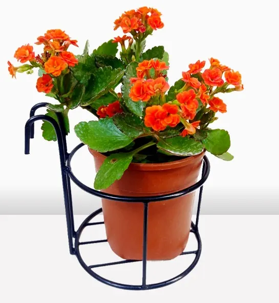 Picture of 1PC 6Inch Round Planter Stand Flower Pot Stand For Balcony Living Room Outdoor Indoor Grill Rack - Black