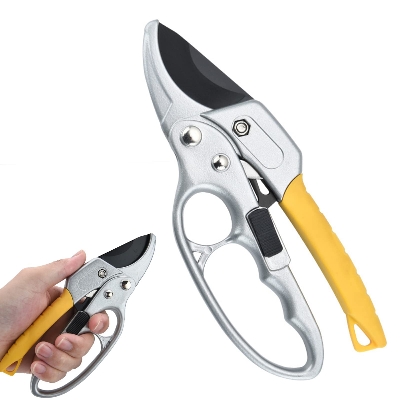 Picture of Professional Sharp Pruners, Garden Pruners, Tree Trimmers Secateurs, Bypass Pruning Shears, Secateurs, Hand Pruner, Garden Shears, Gardening Shears Clippers for Plants, Gardening Cutter - White