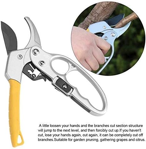 Picture of Professional Sharp Pruners, Garden Pruners, Tree Trimmers Secateurs, Bypass Pruning Shears, Secateurs, Hand Pruner, Garden Shears, Gardening Shears Clippers for Plants, Gardening Cutter - White