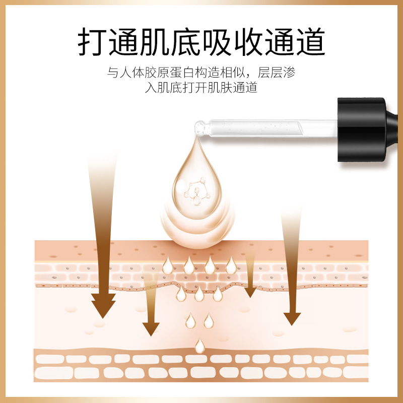 Picture of IMAGES Six peptide Moisture & Tender Anti-Wrinkle Essence- 30ml