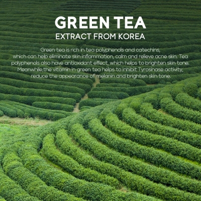 Picture of Fenyi Green Tea Facial Exfoliating Scrub- 100g(Green Tea)