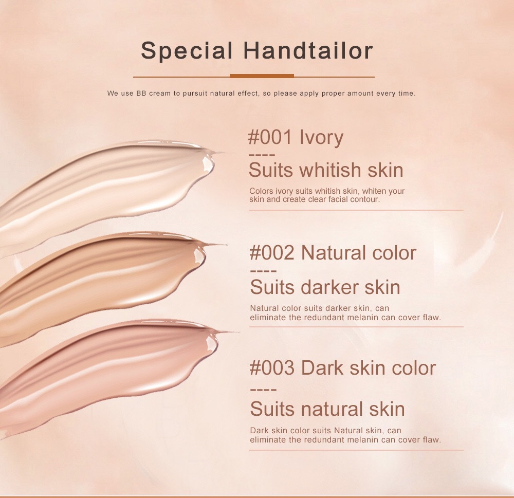 Picture of Hengfang Airless Coverage BB Cream Waterproof Natural Makeup Liquid Foundation