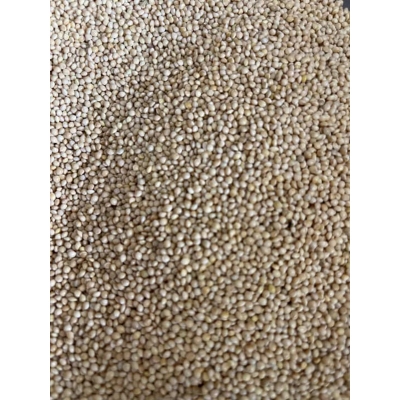 Picture of White millet for Birds 500 gm
