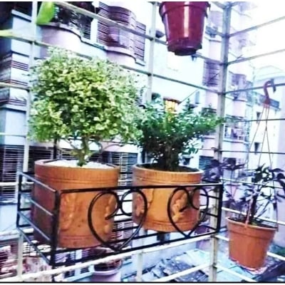 Picture of Metal Grill Rack Hanging Planter Pot 15x8x4 inches -1 Pcs. - Black