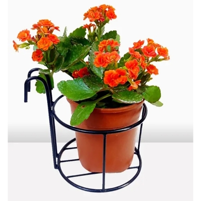 Picture of 1PC 8Inch Round Planter Stand Flower Pot Stand For Balcony Living Room Outdoor Indoor Grill Rack - Black