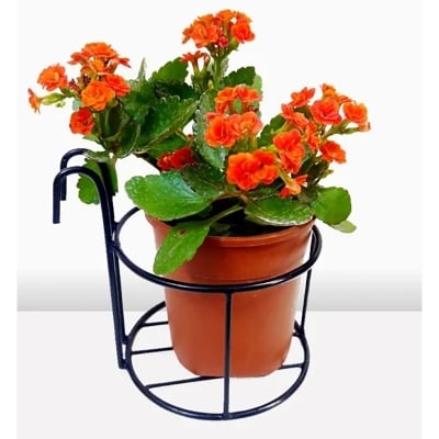 Picture of 1PC 8Inch Round Planter Stand Flower Pot Stand For Balcony Living Room Outdoor Indoor Grill Rack - Black