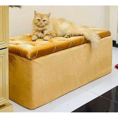 Picture of Divan Sofa Made of High - Quality Material - Perfect Living Room Furniture Multicolor