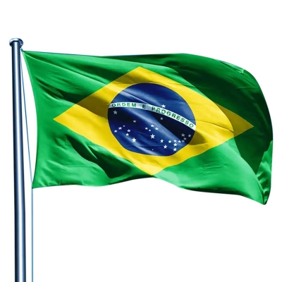 Picture of Brasil National Flag | 2x3.5 Ft Multicolor
