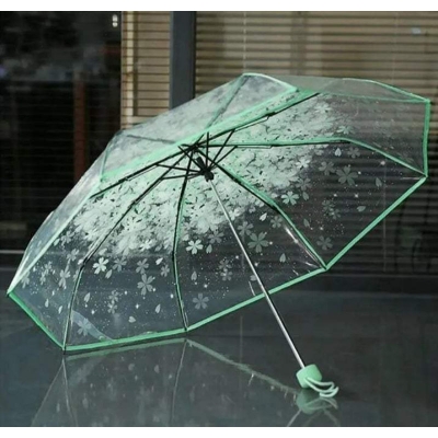 Picture of Compact Transparent Umbrella for Travel | MNK SHOP (Blue)