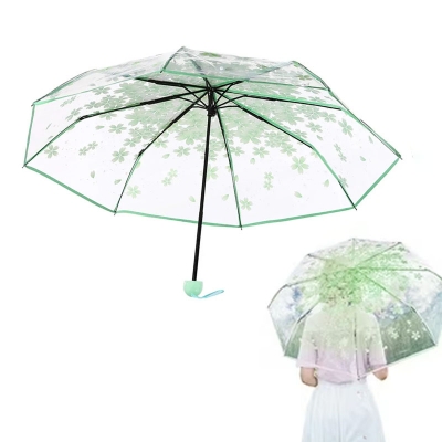 Picture of All Weather Clear Canopy Umbrella | MNK SHOP (Purple)