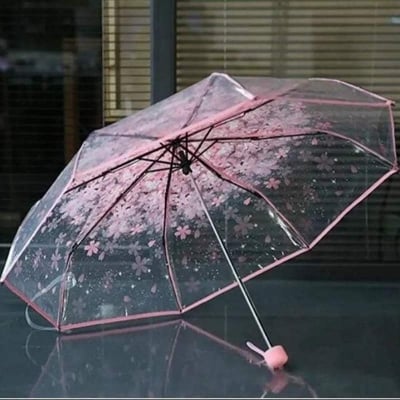 Picture of Lightweight Clear Umbrella with Easy Open Feature | MNK SHOP (Purple)