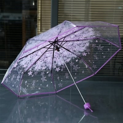 Picture of Stylish Rain Gear with Clear Dome Cover | MNK SHOP (Pink)