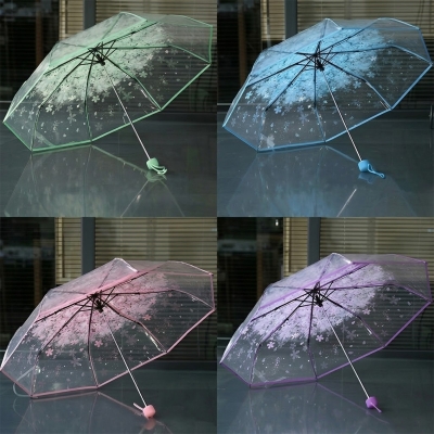 Picture of Durable Transparent Umbrella for Rain and Shine | MNK SHOP (Pink)