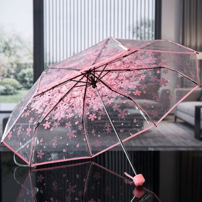 Picture of Lightweight Clear Umbrella with Easy Open Feature | MNK SHOP (Purple)