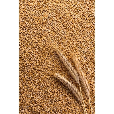Picture of Red Wheat Grain For Brids Foods -( লাল গমের দানা )-1Kg