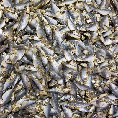 Picture of Dry Fish Puti Shutki 250 G Indian Snack Seafood Dried Fish Snack Indian Style Seafood Treat 250 G