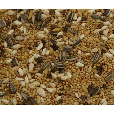 Picture of Budgerigar -Birds Food - (বাজরিগর পাখির খাবার) -1kg