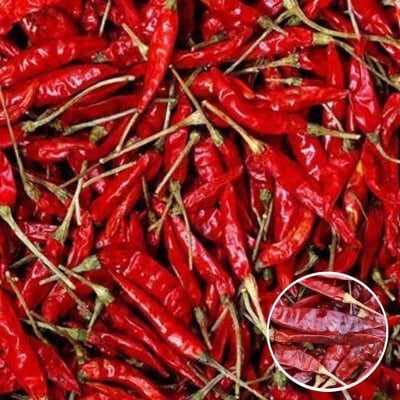 Picture of Dried Red Chili ( Sukna Morich / শুকনা মরিচ ) - 500gm