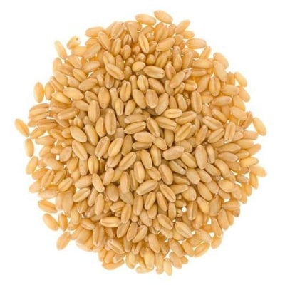 Picture of Pure Organic White Wheat Grain -500Gm