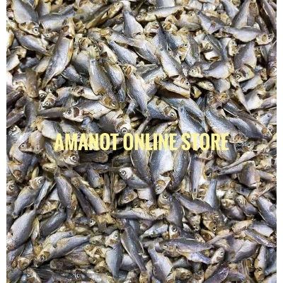 Picture of Dry Fish Putty Shoot- (Putty Machar Shock) -100 G G