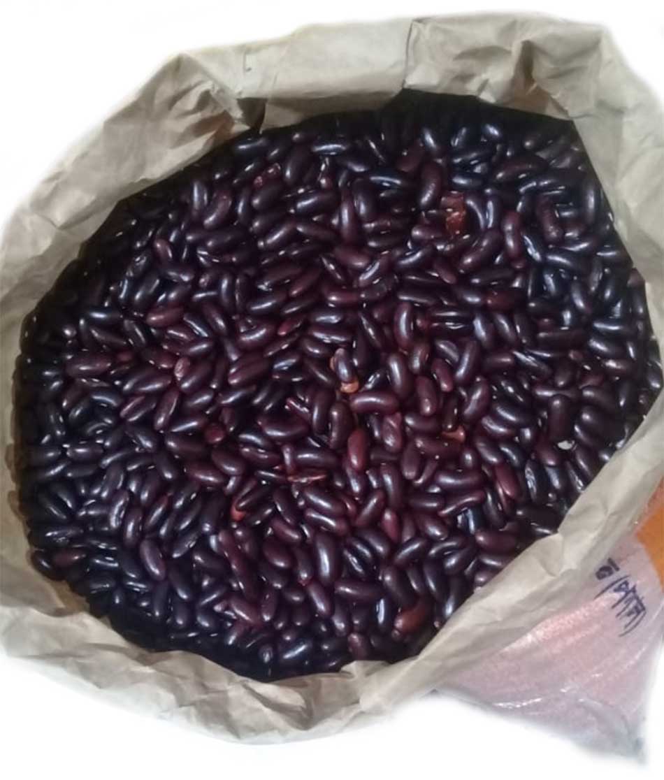 Picture of Black kidny Beans/ Kalo rajma -100gm