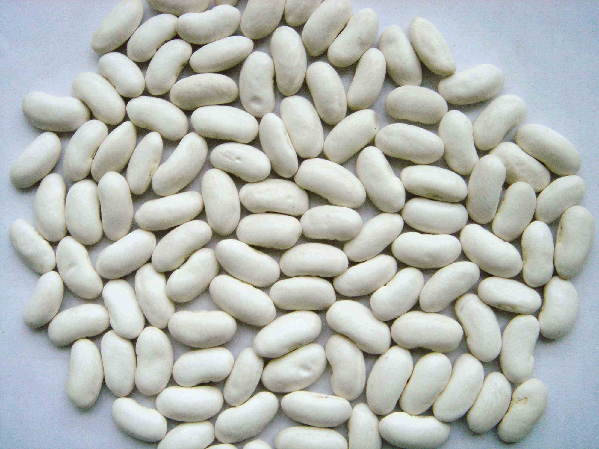 Picture of White Kidney Beans - Rajma 1 kg