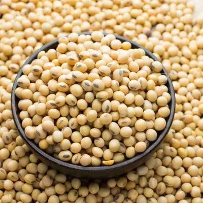 Picture of Soybean Seeds -2kg