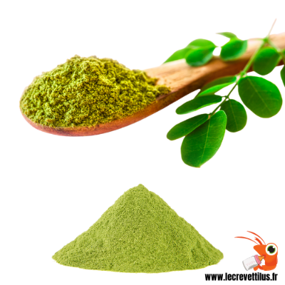 Picture of Moringa pawder sojne pata gura-100gm