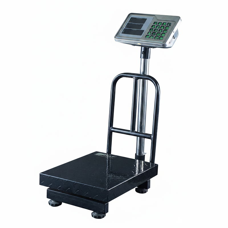 Picture of Xpart Platform Weighing Scale 100KG Folding (MS Tray)