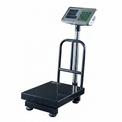 Picture of Xpart Platform Weighing Scale 100KG Folding (MS Tray)