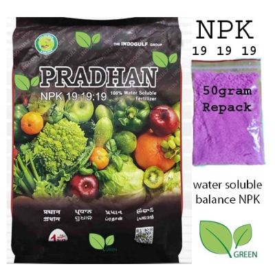 Picture of NPK 19 19 19 REPACK 50 gm indian