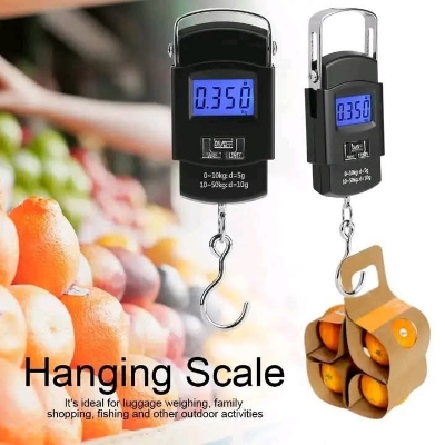 Picture of Portable electronic Scale