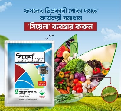Picture of Siyena 6WG 100% Effective Plant and Soil Incecticides -10 GM