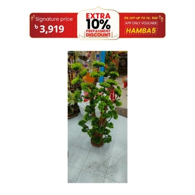 Picture of Artificial Plastic Plant Bonsai