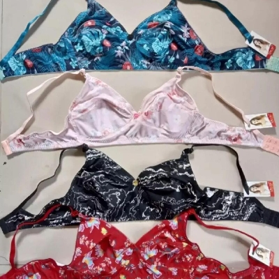 Picture of Luxury with Silk Printed Stretchable Quality Bra Combo Set for Women and Girls - Set of 4 Pieces for Comfort and Style