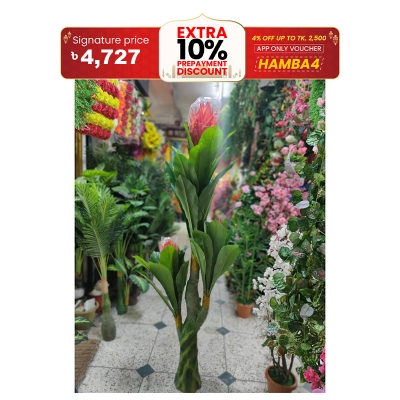 Picture of Artificial Plastic Plant Tree  -  free delivery