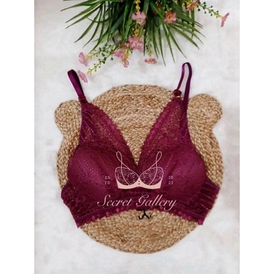 Picture of Elegance Lightly Padded Lace Bra for Women - Timeless Comfort and Glamour