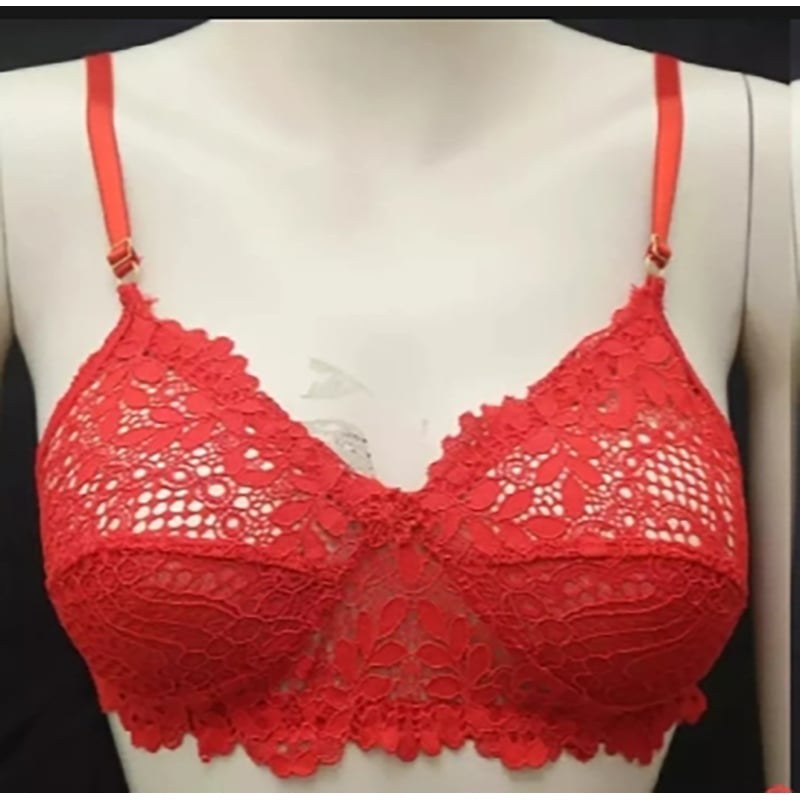 Picture of Women's Wear Easy Net Bra Soft Bra Stylish Bra Comfortable Bra