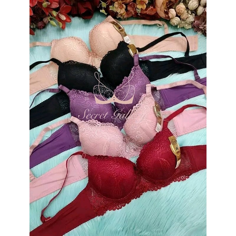 Picture of Elegance Lightly Padded Lace Bra for Women - Timeless Comfort and Glamour