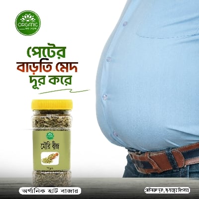Picture of Fennel Seed / Mouri - 75gm
