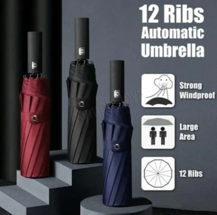 Picture of BMW Auto Open And Auto Close Umbrella 12 Ribs (China)