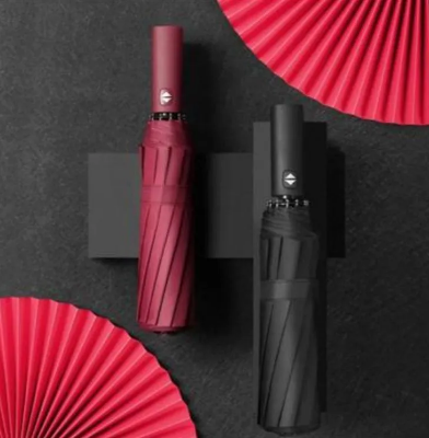 Picture of BMW Auto Open And Auto Close Umbrella 12 Ribs (China)