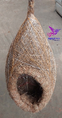 Picture of Hand made bird nest Large size 1 Pcs - Pakhir basa