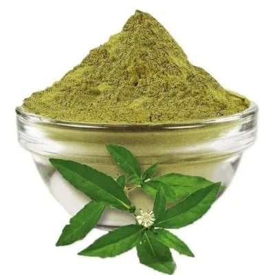 Picture of Bhringraj Powder 100 gm - ভৃংগরাজ গুড়া  ১০০ গ্ৰাম 