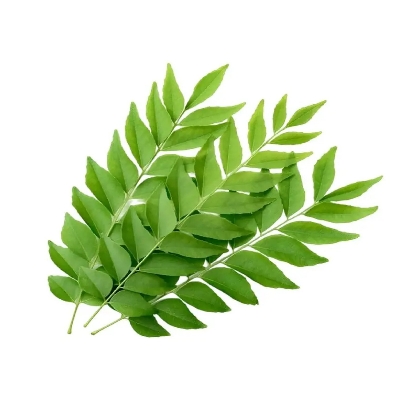 Picture of Curry Leaf Powder 100 gm  - কারিপাতা গুড়া ১০০ গ্ৰাম 