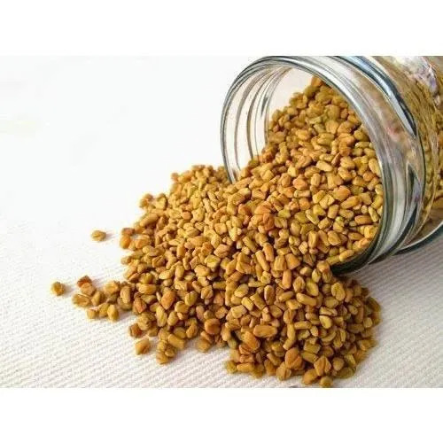 Picture of Fenugreek Powder 100 gm - মেথি গুড়া ১০০ গ্ৰাম 