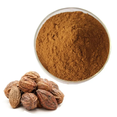 Picture of Horitoki Powder 100 gm - হরতকি গুড়া ১০০ গ্ৰাম 