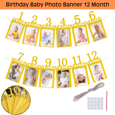 Baby's First Year Monthly Birthday Photo Banner | Newborn to 12 Months Picture Display Banner | 1st Birthday Party Decoration (Pack of 1)