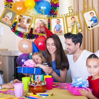 Baby's First Year Monthly Birthday Photo Banner | Newborn to 12 Months Picture Display Banner | 1st Birthday Party Decoration (Pack of 1)
